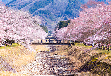 倉町野の写真