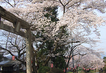 水分れ（高谷川）の写真