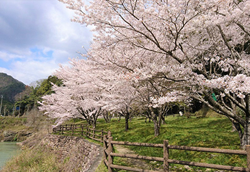 川代公園の写真