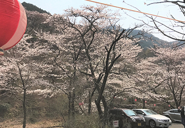 鐘ヶ坂公園の写真