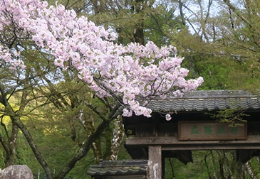 高源寺の写真
