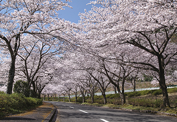 関西記念墓地公園の写真