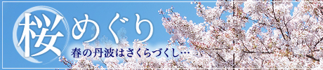 たんば桜めぐり特集へ