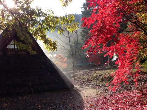 古代住居