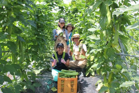 (有)こやま園・ 有機豆本舗丹波