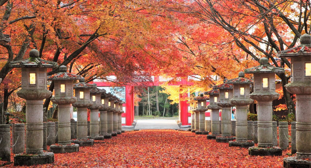 弘浪山　高山寺　