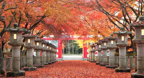 弘浪山　高山寺　