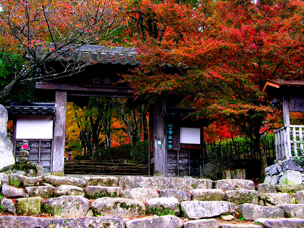 高源寺山開き 高源寺の紅葉と紅葉ライトアップ