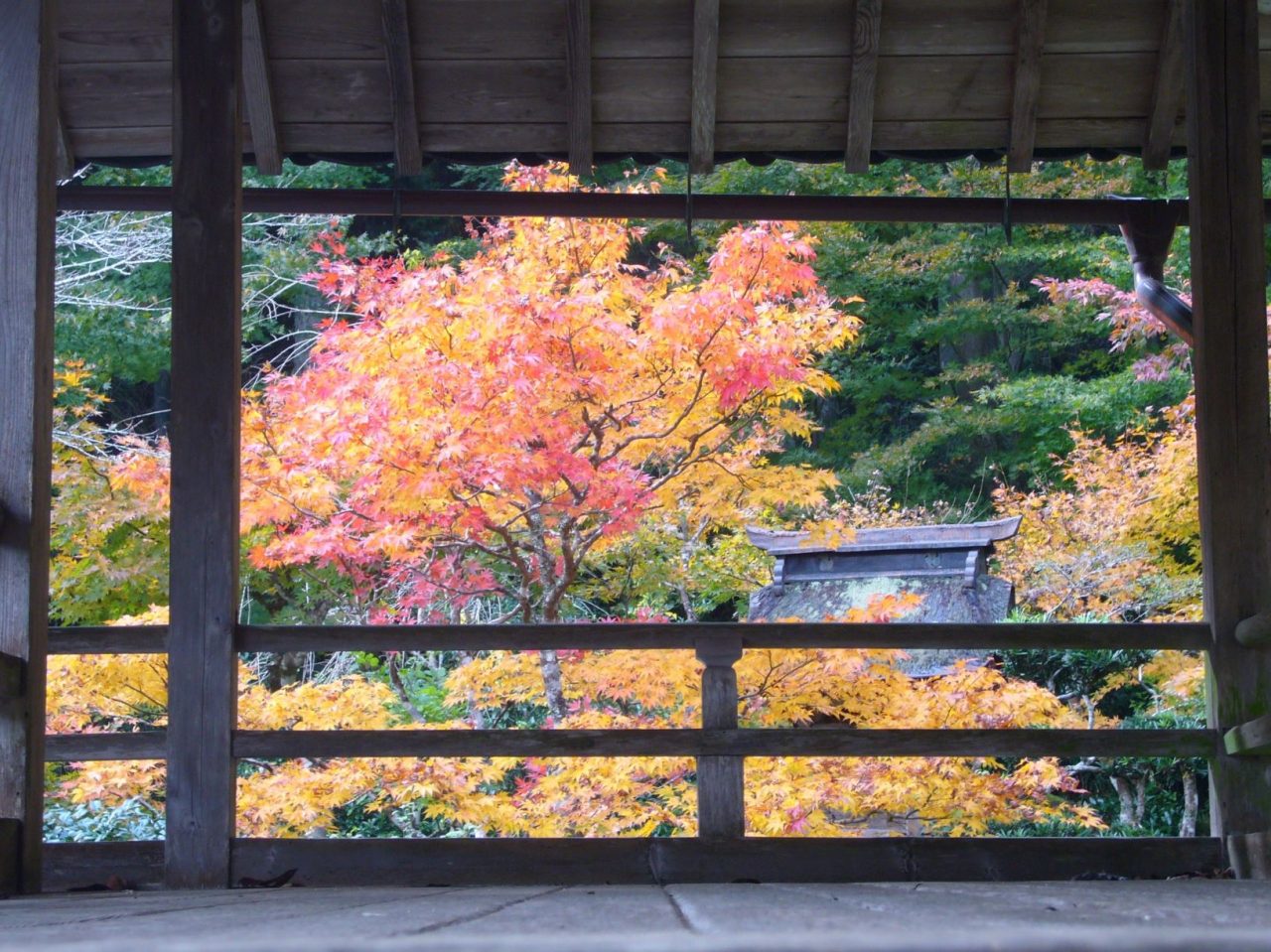 萬松山　慧日寺