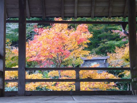 萬松山　慧日寺