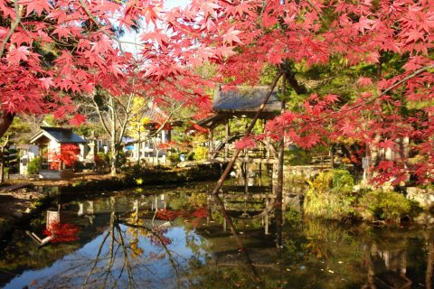 五大山　白毫寺