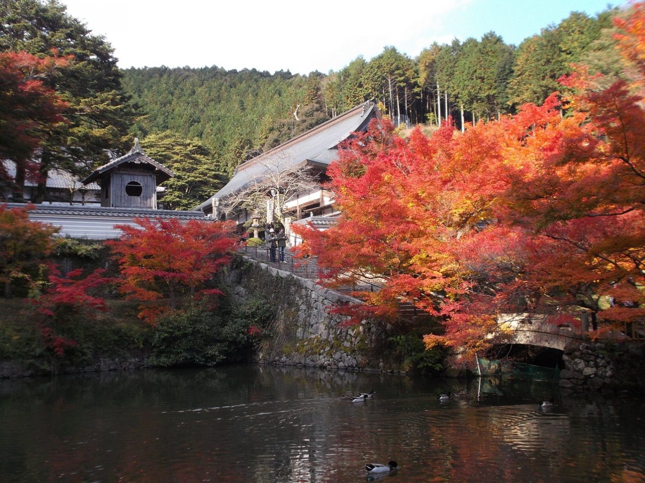 永谷山　円通寺