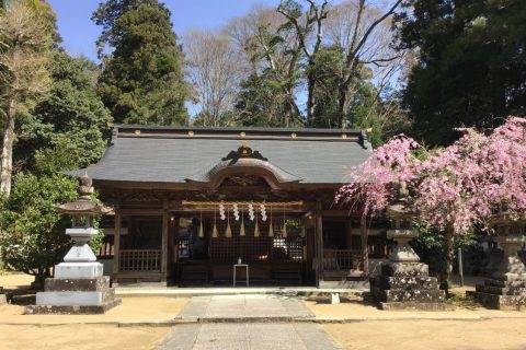 兵主神社（ひょうずじんじゃ）