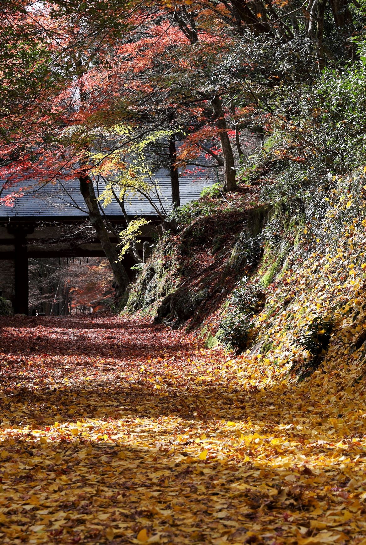 岩屋山 石龕寺 丹波市観光協会