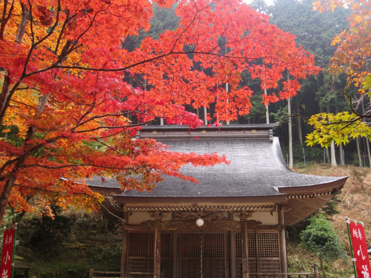 石金山 小新屋観音