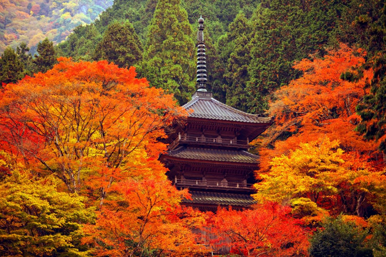 西天目瑞巖山　高源寺