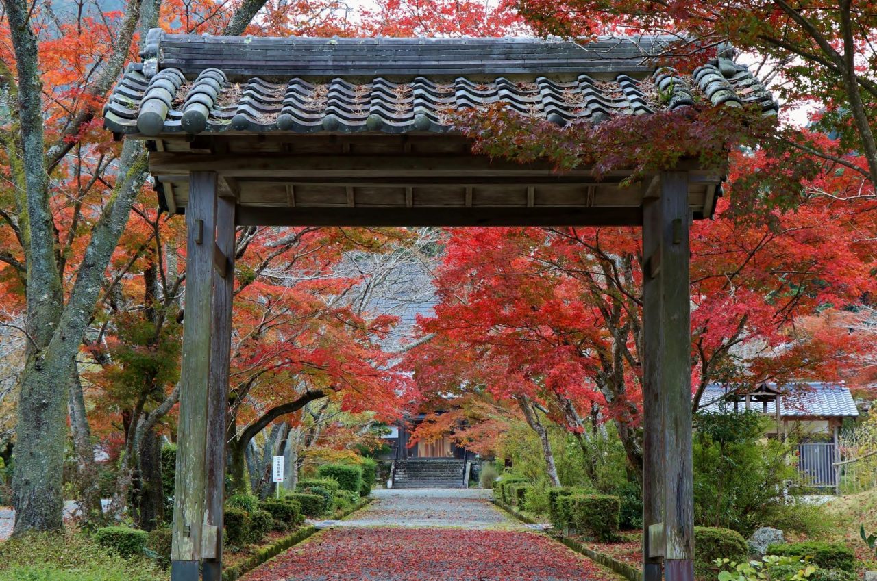 本光山　三寳寺