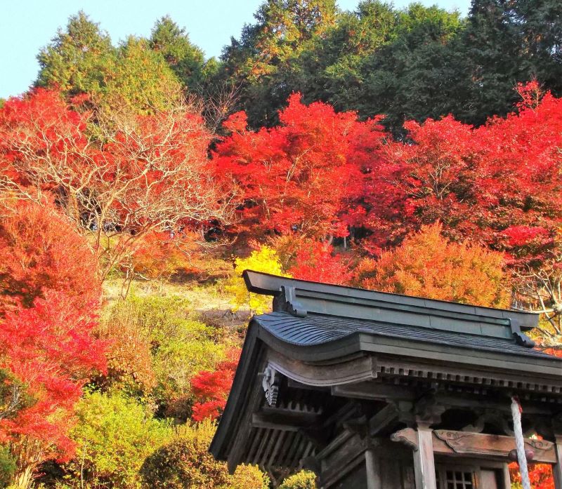 十九山　達身寺