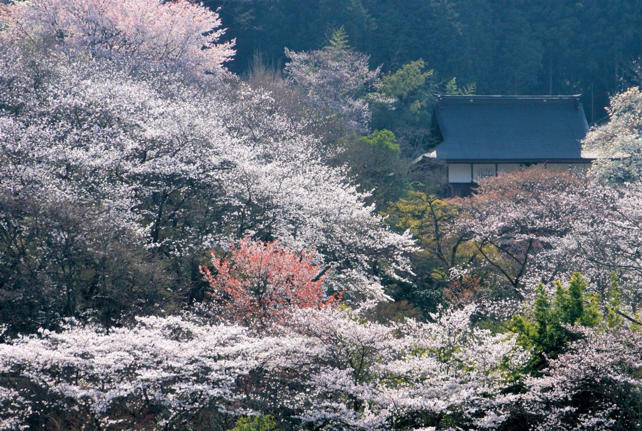 常勝寺