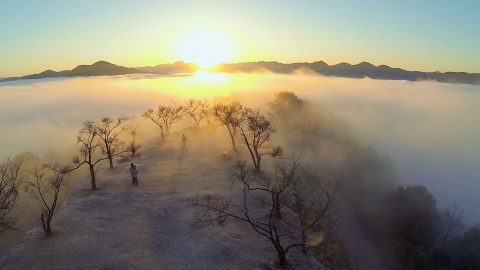 撮影者：空撮アーティスト 前田太陽