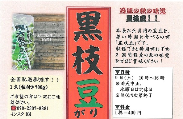 ことぶき農園では、黒枝豆がりを実施いたします!