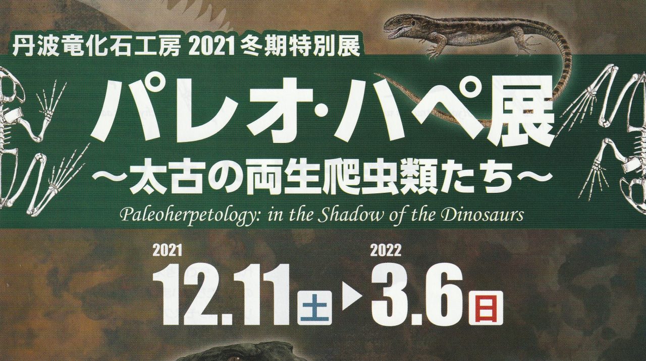 パレオ・ハペ展 〜太古の両生爬虫類たち〜 2021年度冬期特別展