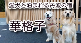 愛犬と泊まれる宿　華格子