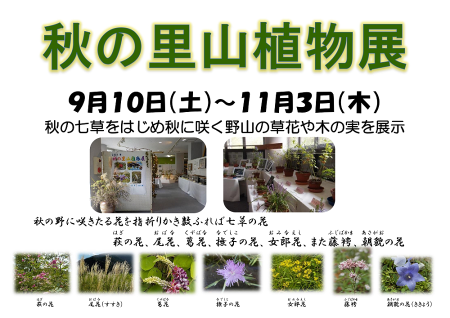 秋の里山植物展を開催します!