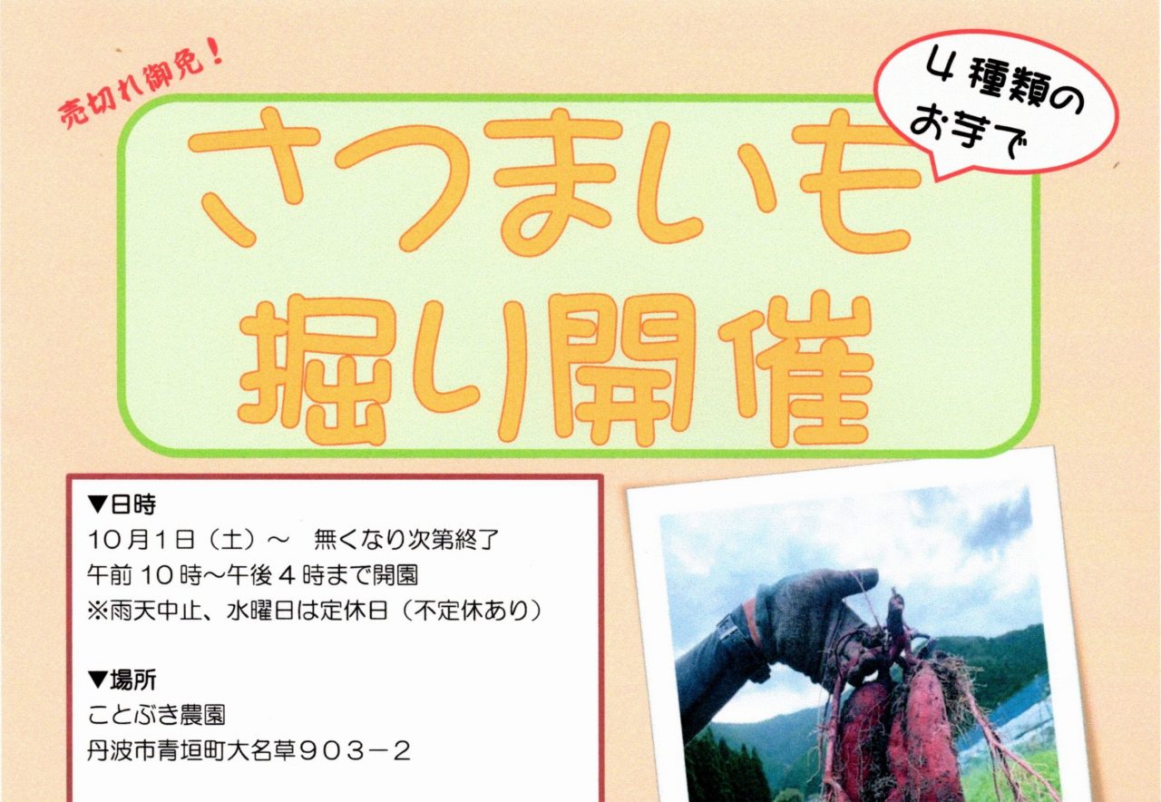 さつまいも掘り開催