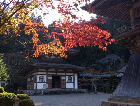 萬松山【 慧日寺 】茅葺屋根葺き替え作業開始について