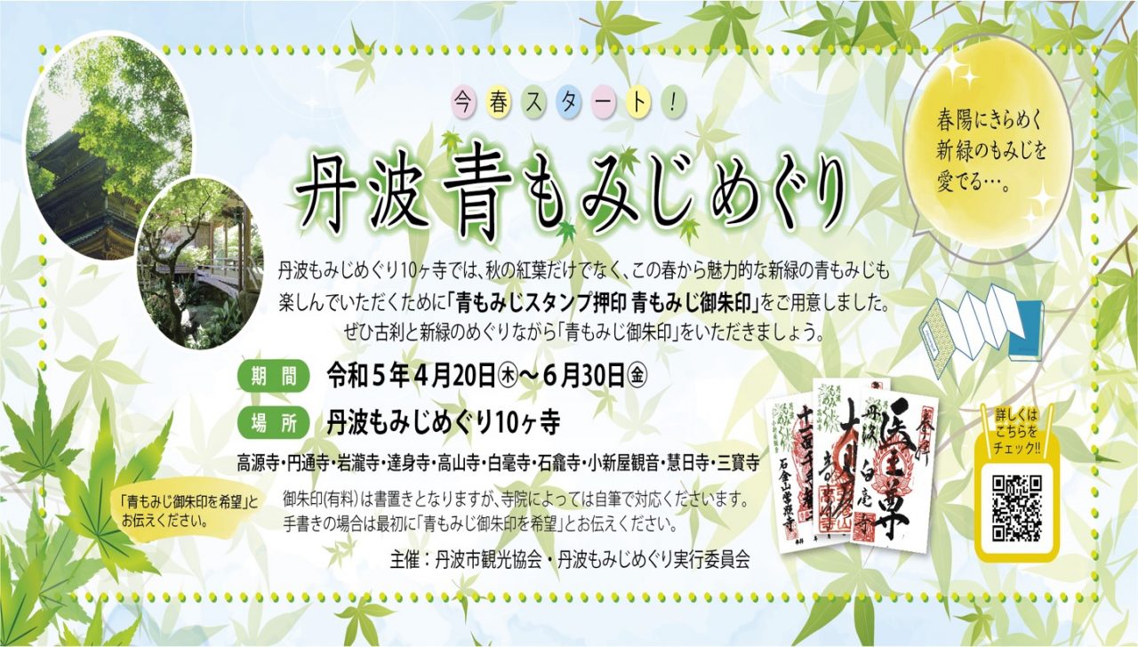 丹波 青もみじめぐりが始まります