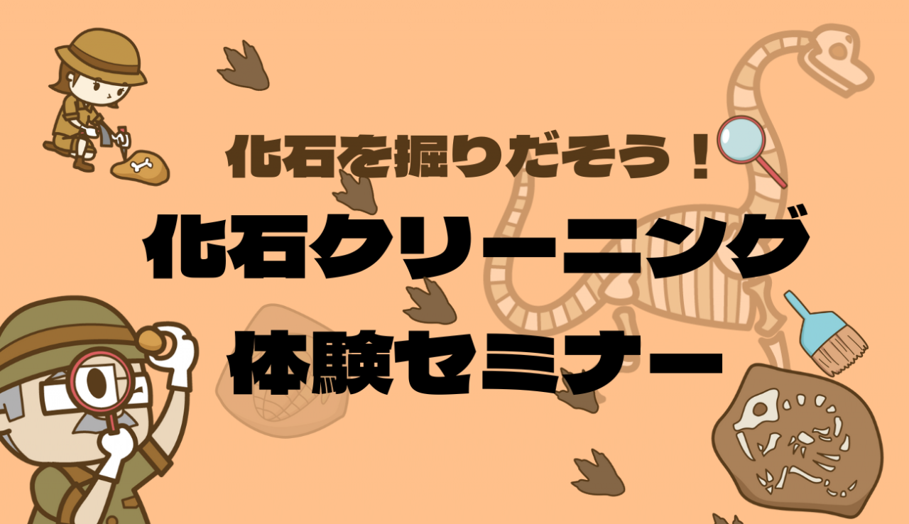 化石クリーニング体験セミナー 化石を掘り出そう!