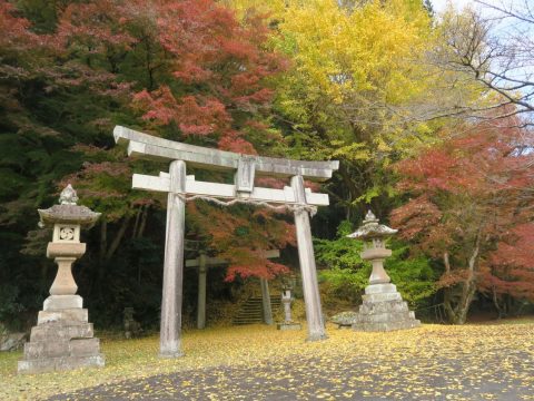 鹿野馬神社