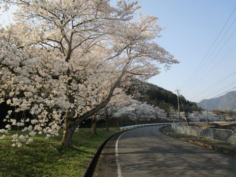関西池田記念墓地公園