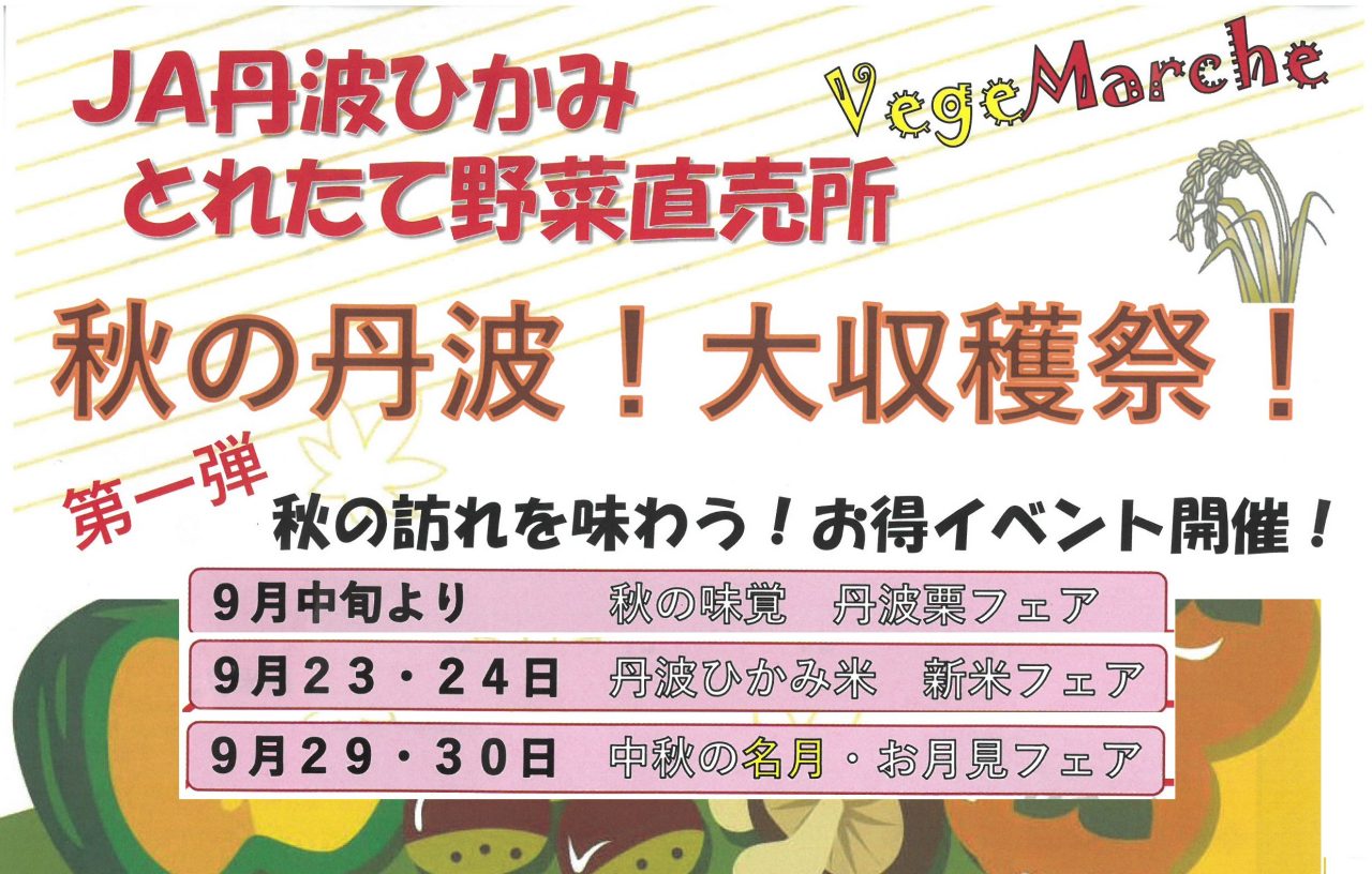 秋の丹波!大収穫祭!