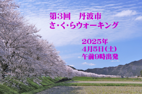 🌸 第3回 丹波市 さ・く・ら ウォーキング
