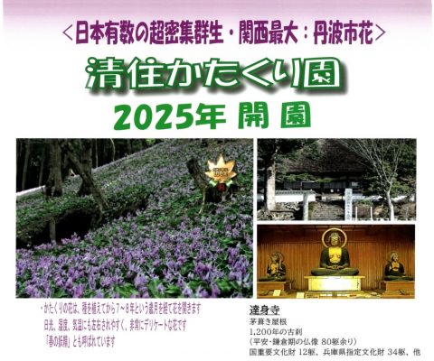 2025年「 清住かたくり園」開園のお知らせ
