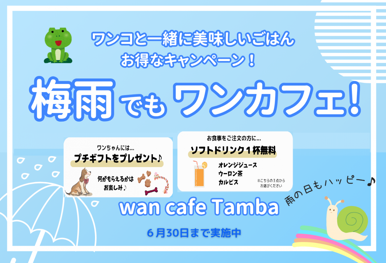 🐸🍃 梅雨でもワンカフェ