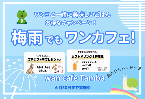 🐸🍃 梅雨でもワンカフェ