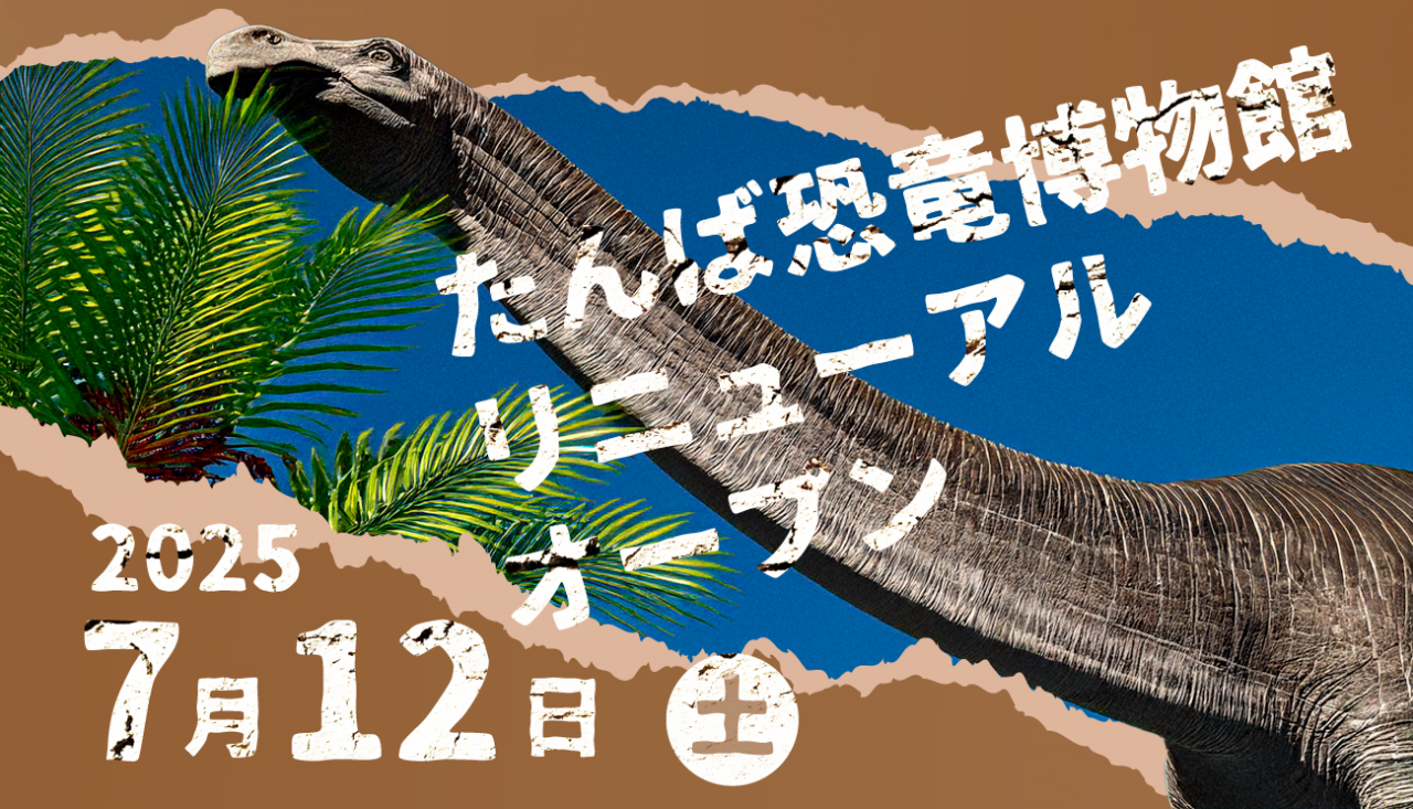 🎊【たんば恐竜博物館】リニューアルオープン!🎉