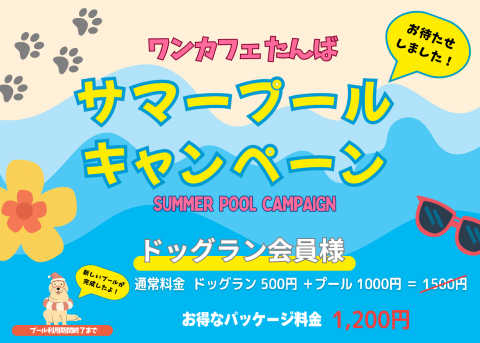 ワンカフェたんば 🐕 サマープールキャンペーン