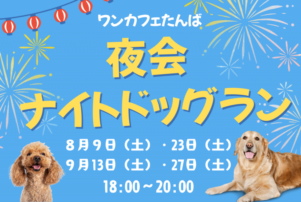 🌛 ワンカフェ丹波 の 夜会⭐ナイトドッグラン！！
