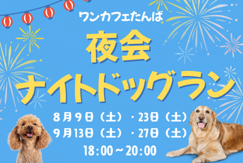 🌛 ワンカフェ丹波 の 夜会⭐ナイトドッグラン！！