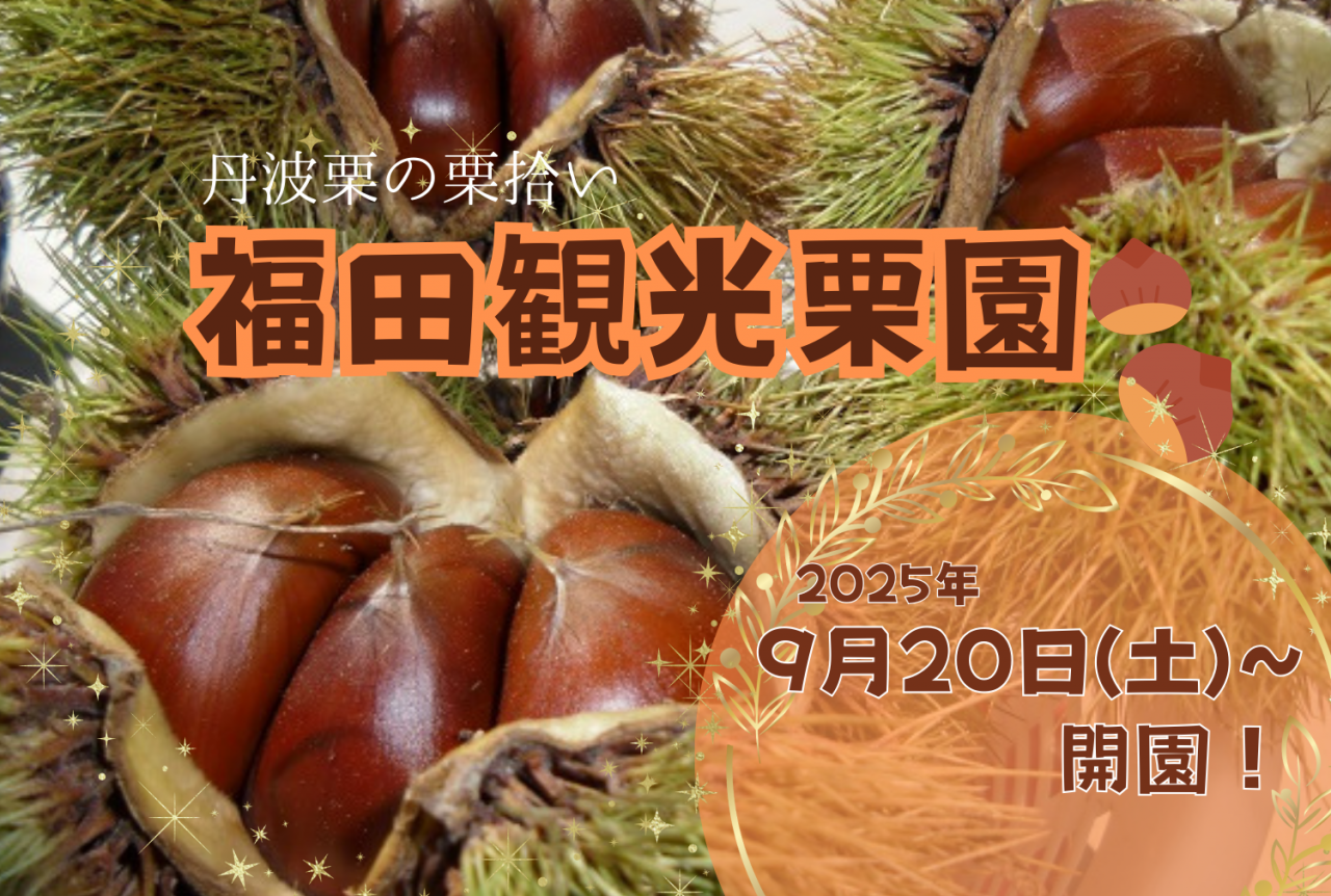 🌰 令和7年度 福田観光栗園 開園！ 🌰