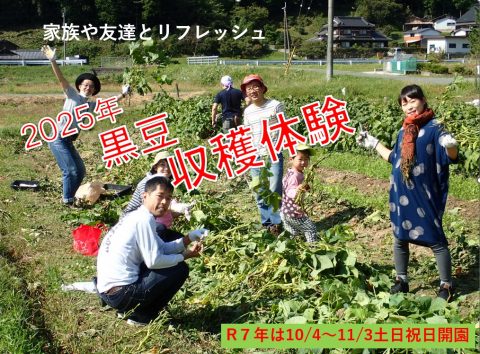 🫛 2025年 黒豆の収穫体験 ！！