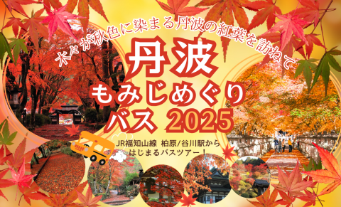 🚌 丹波もみじめぐりバス 2025 🍂