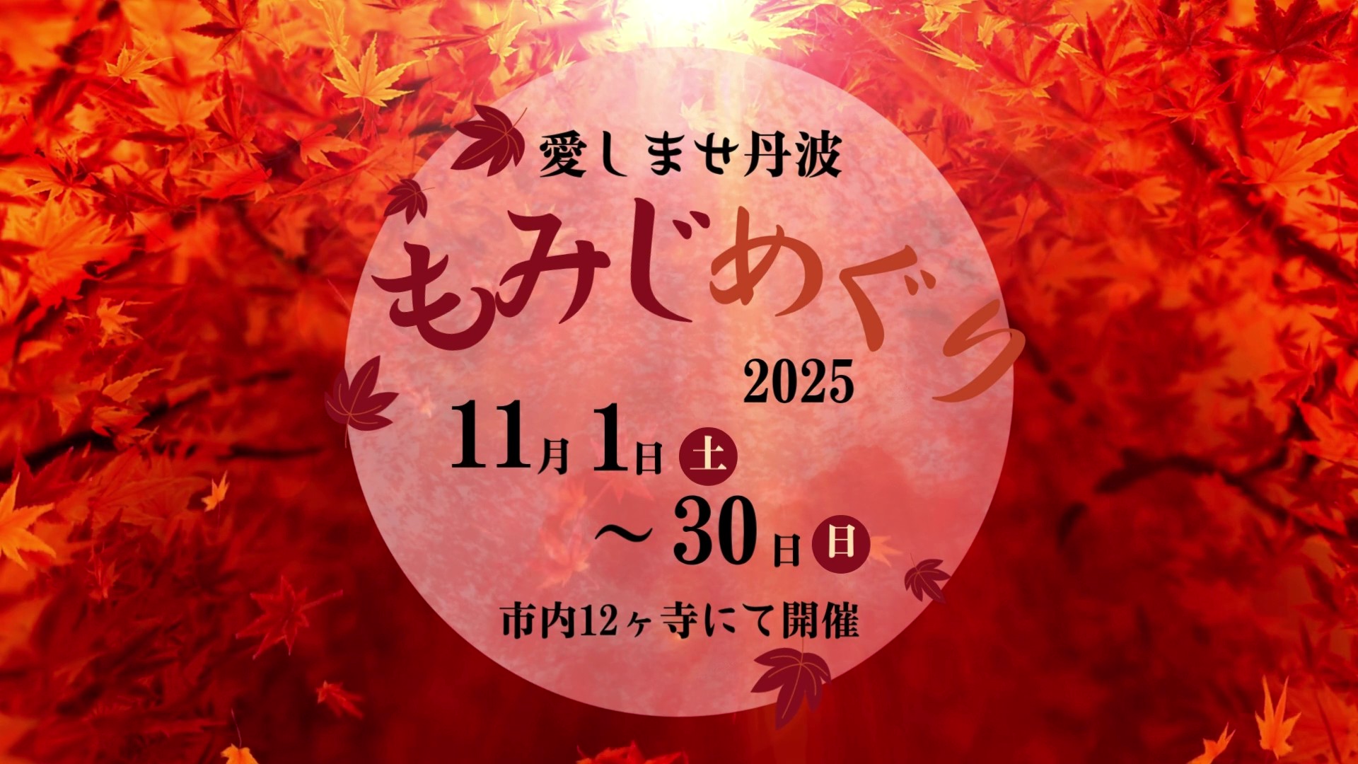 🍂 愛しませ丹波 もみじめぐり 2025