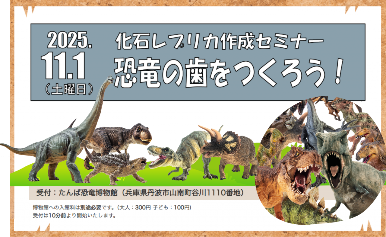🦕 化石レプリカ作成セミナー! 恐竜の歯をつくろう!!