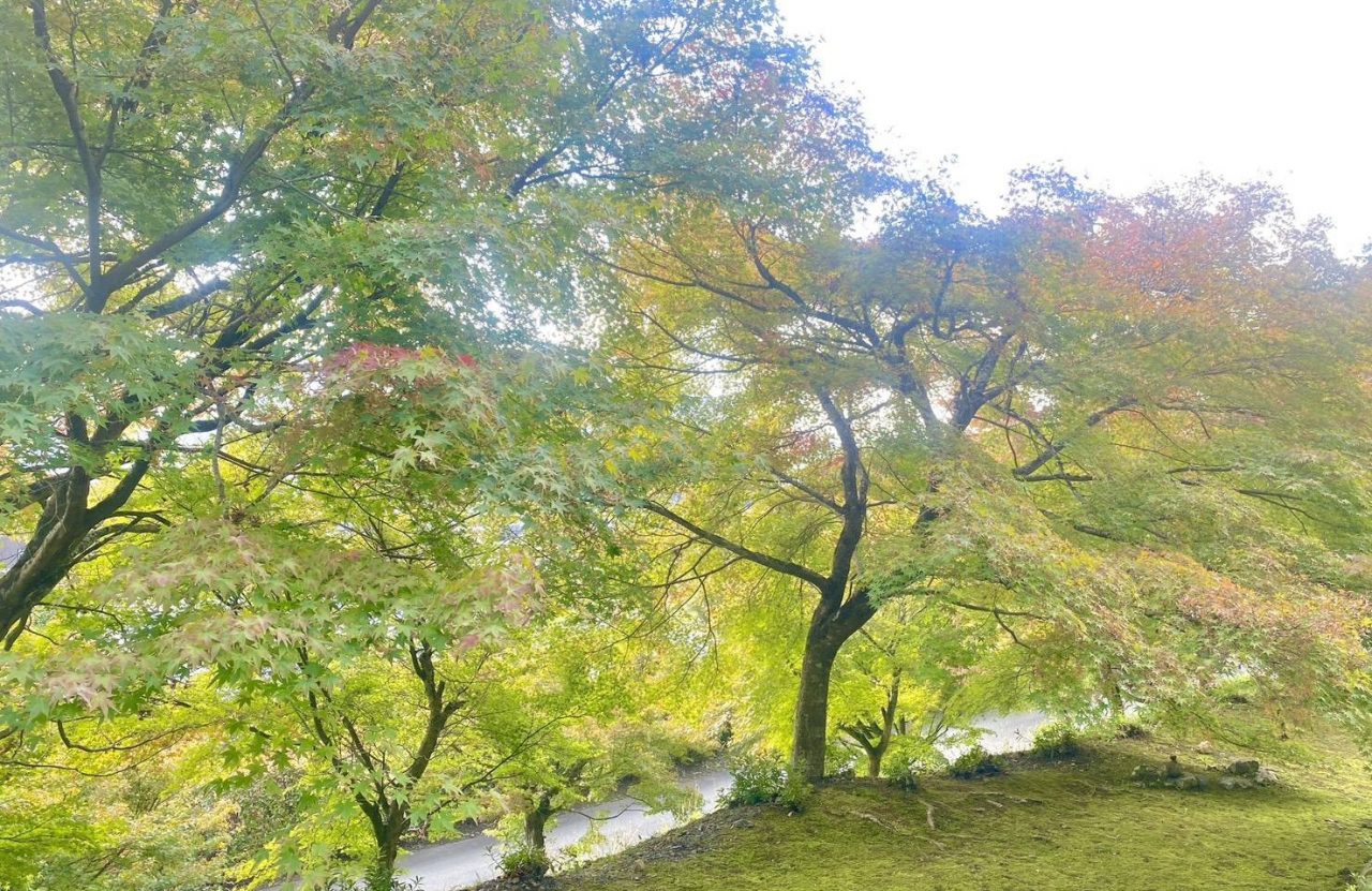 🍂照月山 桂谷寺