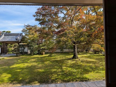 🍂 本光山 三寳寺